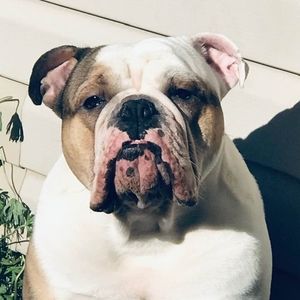 Meet your Posher, Cari